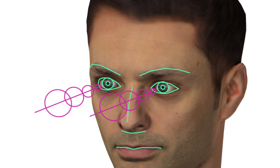 Der Kopf eines Mannes, bei dem die Augen und die Blickrichtung farblich markiert wurden.