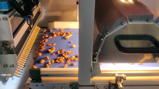 Mit Hilfe von Bildverarbeitungslösungen können monotone Tätigkeiten, wie die Trennung von Nüssen und ihren Schalenresten automatisiert werden.