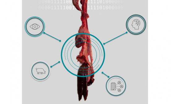 Ein Schaubild zeigt ein hängendes Organ, auf dem markiert ist, was alles durch KI Bildverarbeitung daran analysiert werden kann.